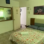 La Casa Del Árbol