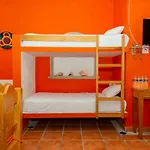 Mexicasa Cancun Hotel Boutique
