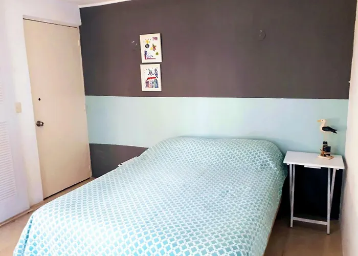 Room In Guest Room - Loft 9 In The Center Of Cancun