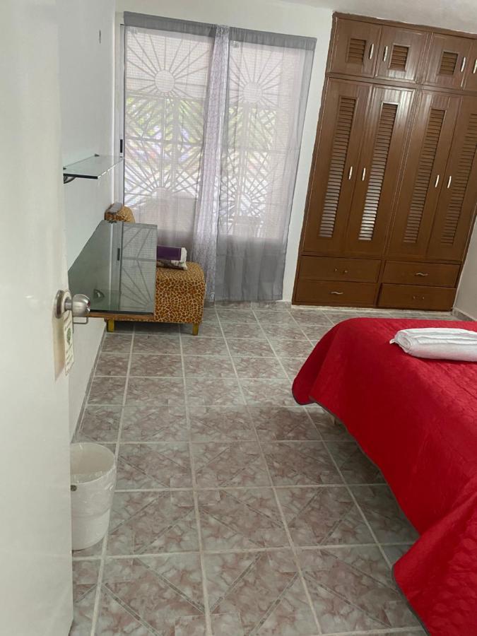 Hostal La Casa Del árbol