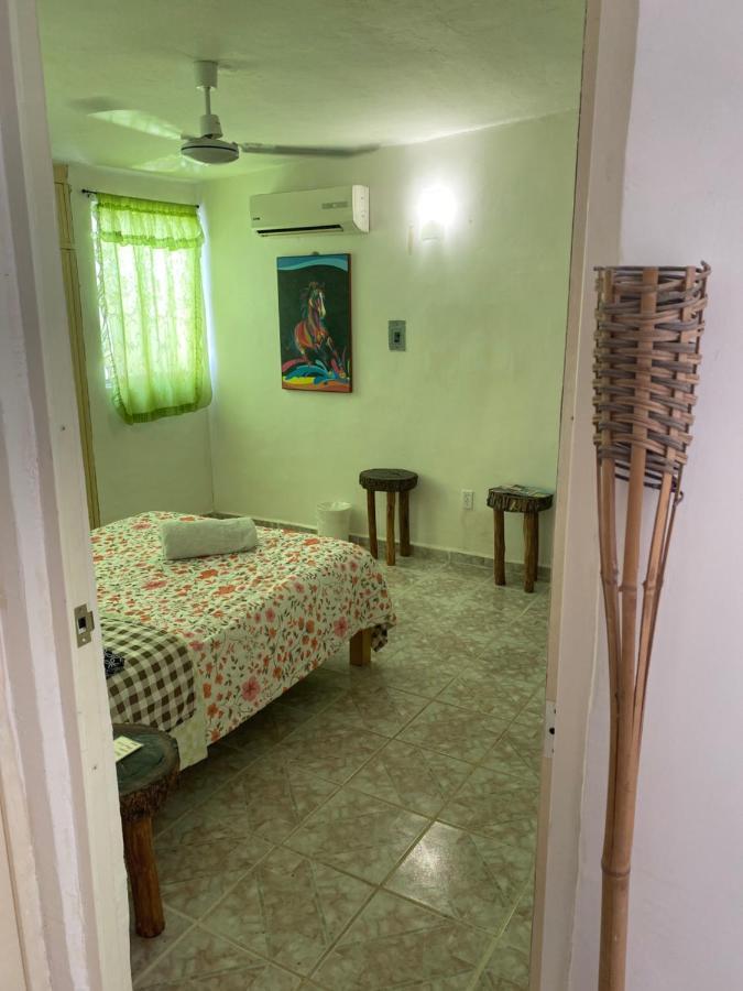 La Casa Del árbol Hostal