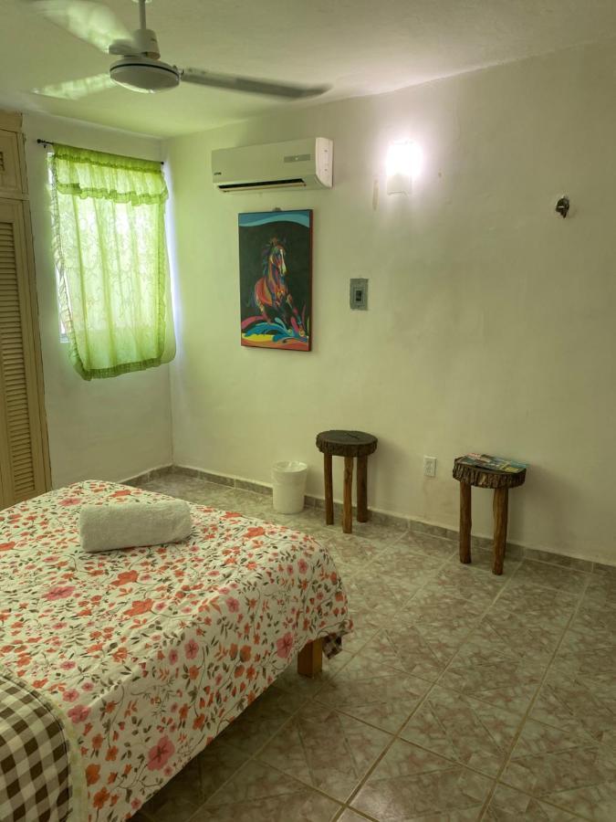 Hostal La Casa Del árbol Cancún
