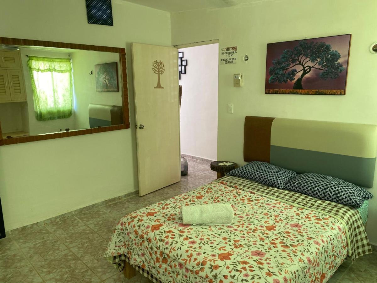 La Casa Del árbol Hostal