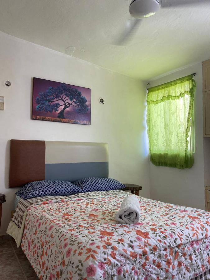 La Casa Del árbol Hostal