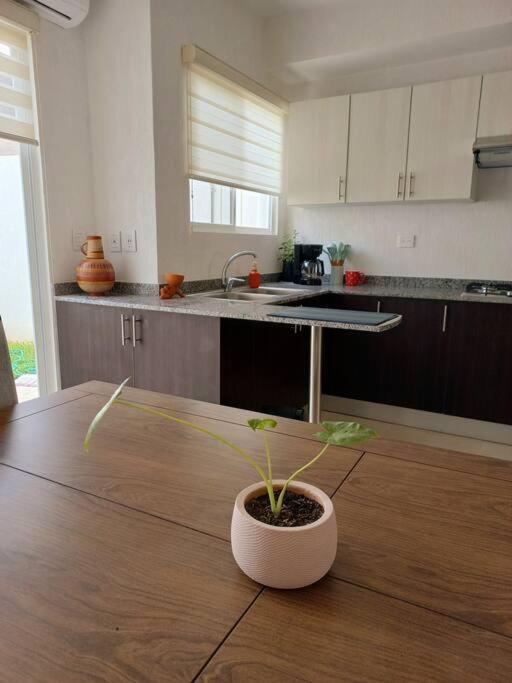 Casita Rooftop Apartamento