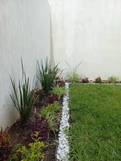 Apartamento Casita Rooftop