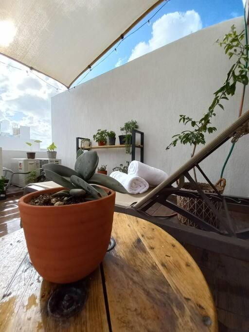 Casita Rooftop Cancún
