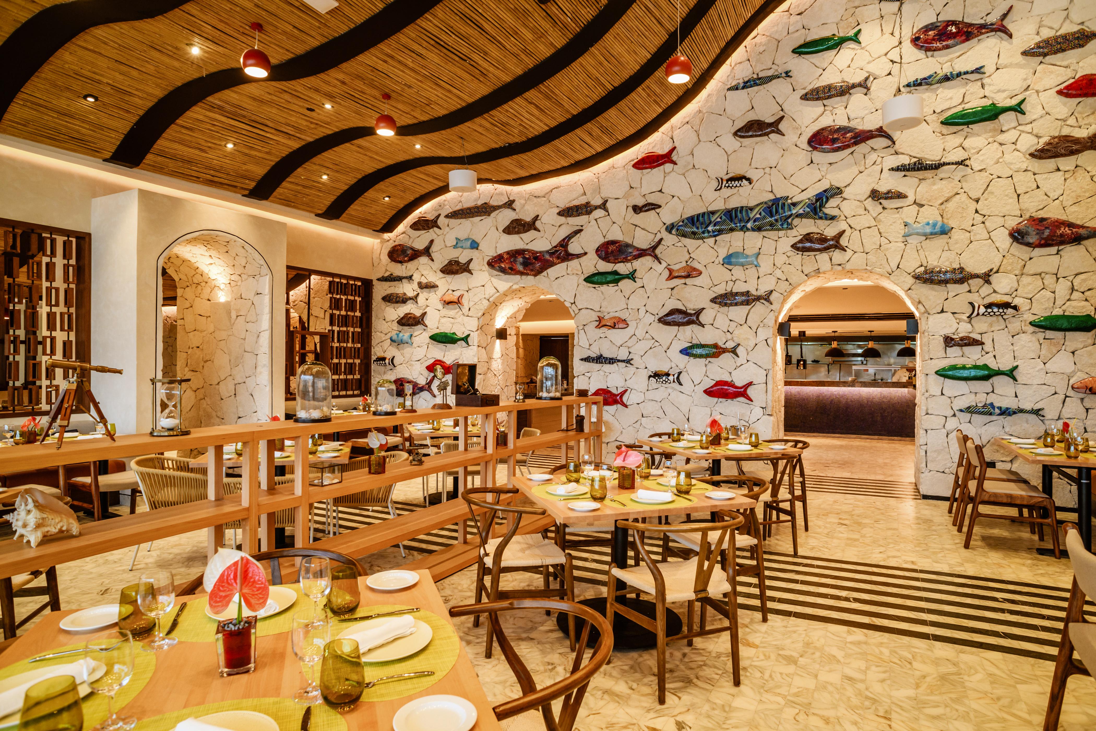 Estudio Playa Mujeres - Family Experience