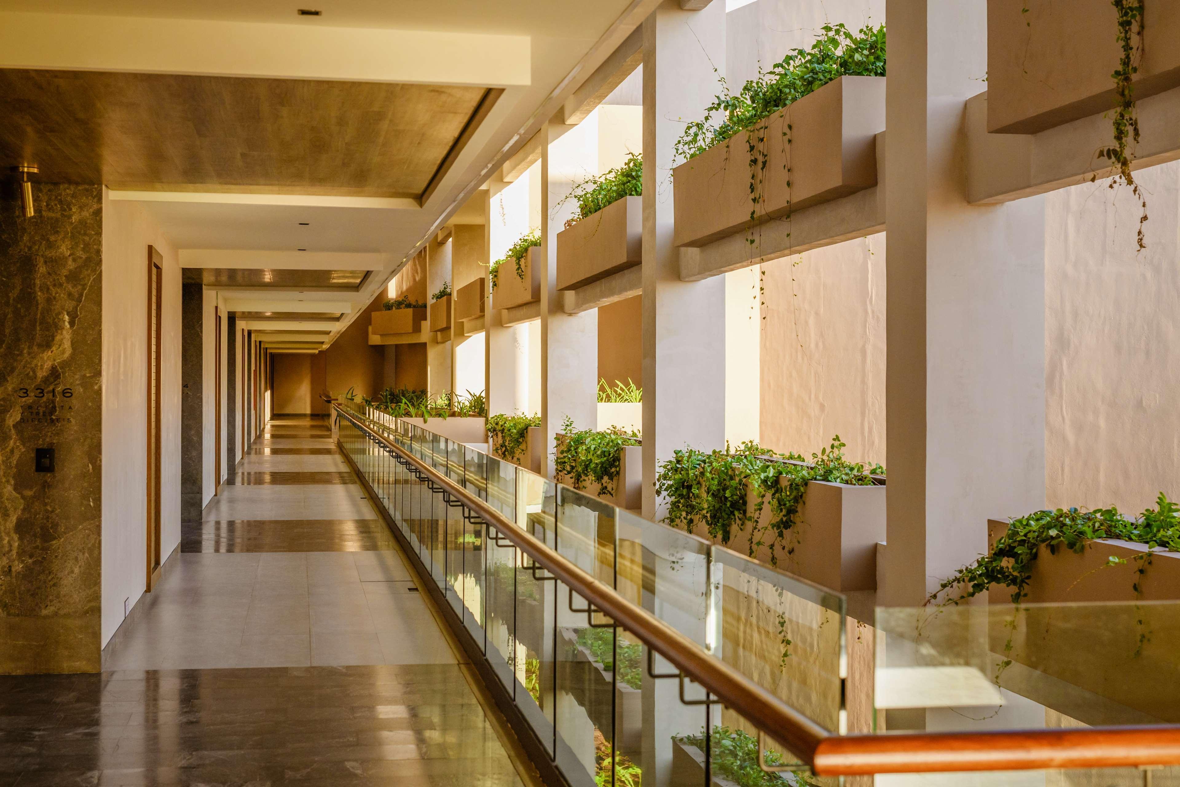 Resort Estudio Playa Mujeres - Family Experience Cancún