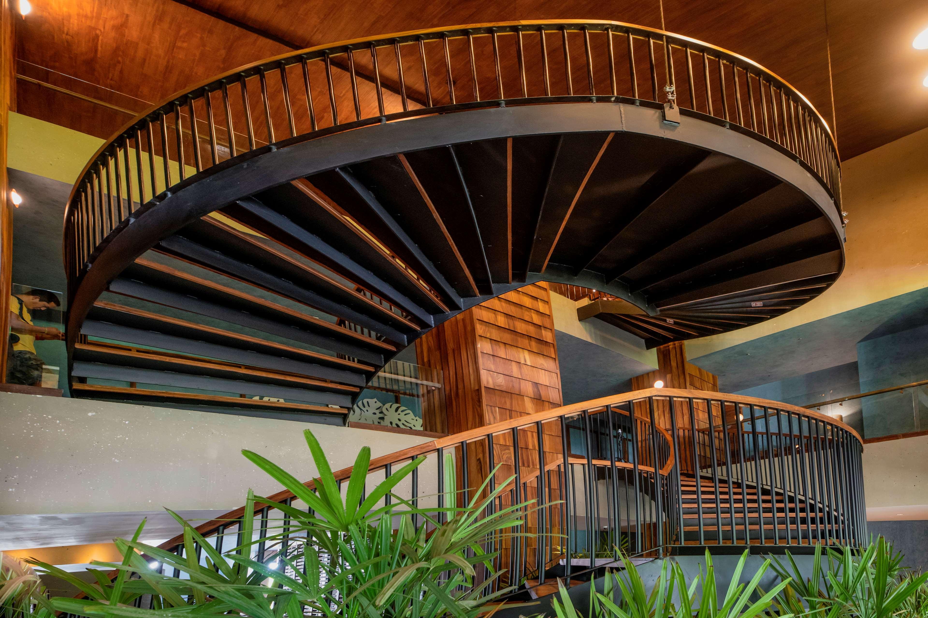 Estudio Playa Mujeres - Family Experience 5* Cancún