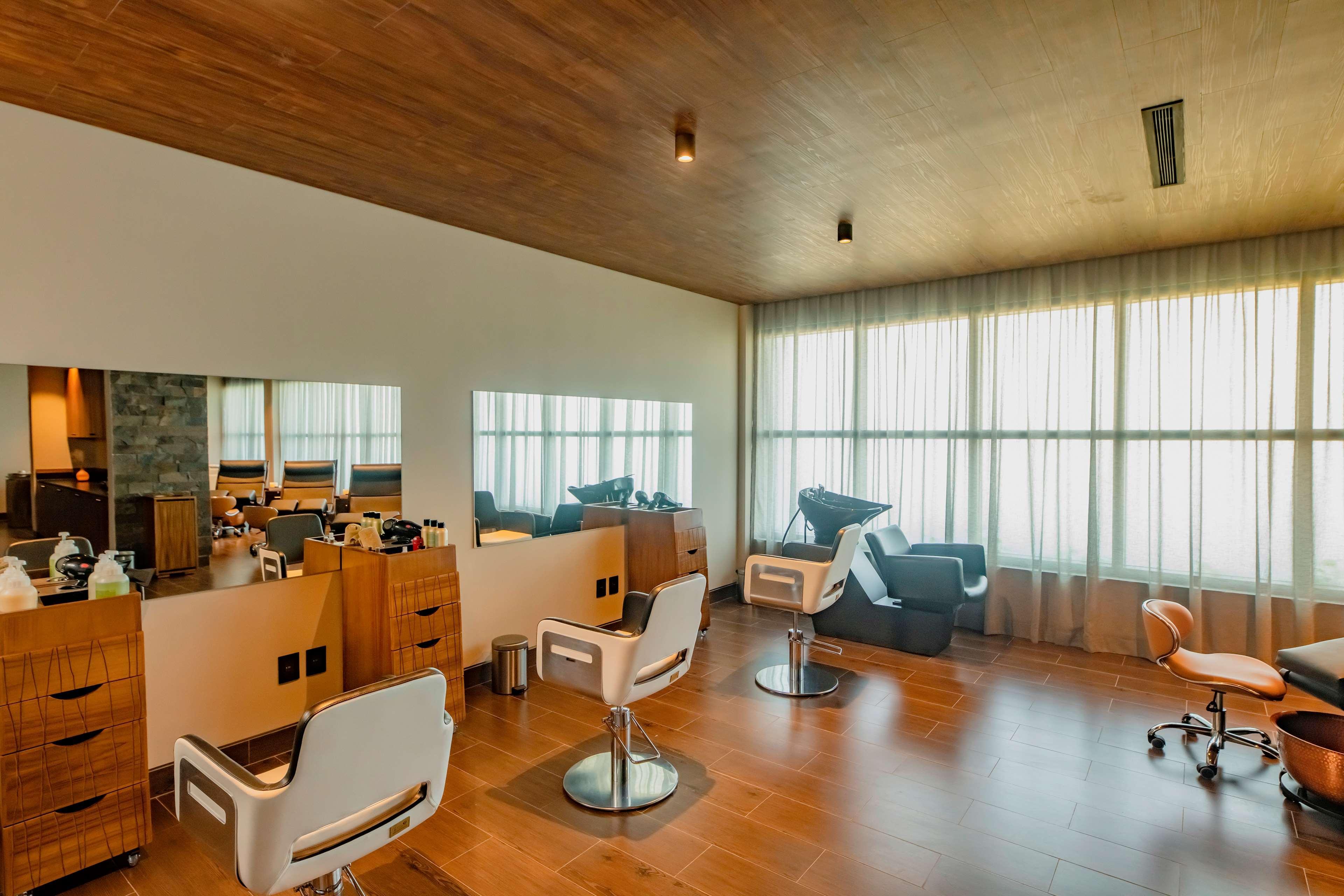 Estudio Playa Mujeres - Family Experience 5*
