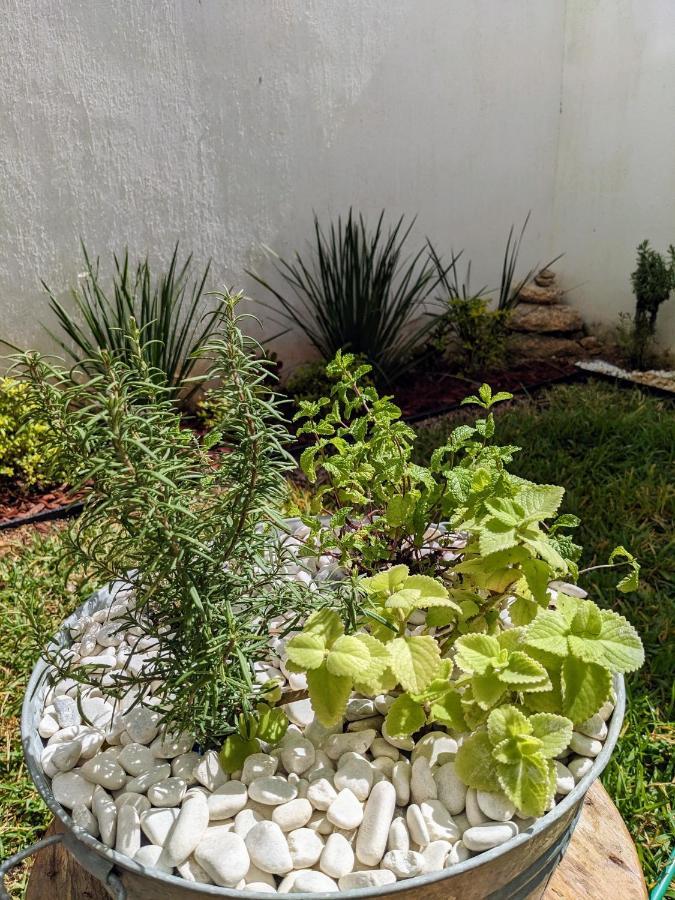 Apartamento Casita Rooftop