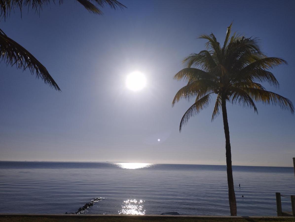 Bed and breakfast Ocean View Flamingo