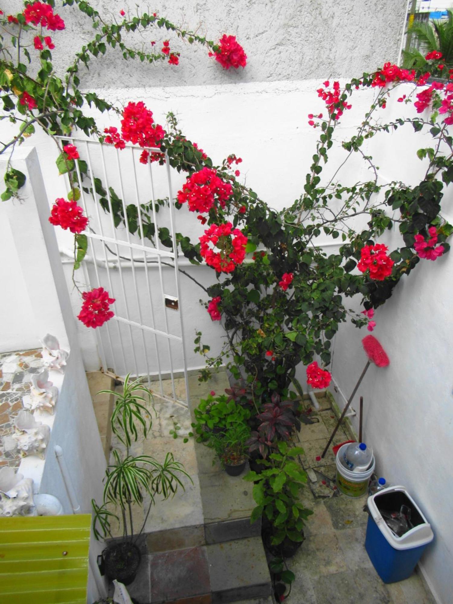 Apartamento Cocos Cancún