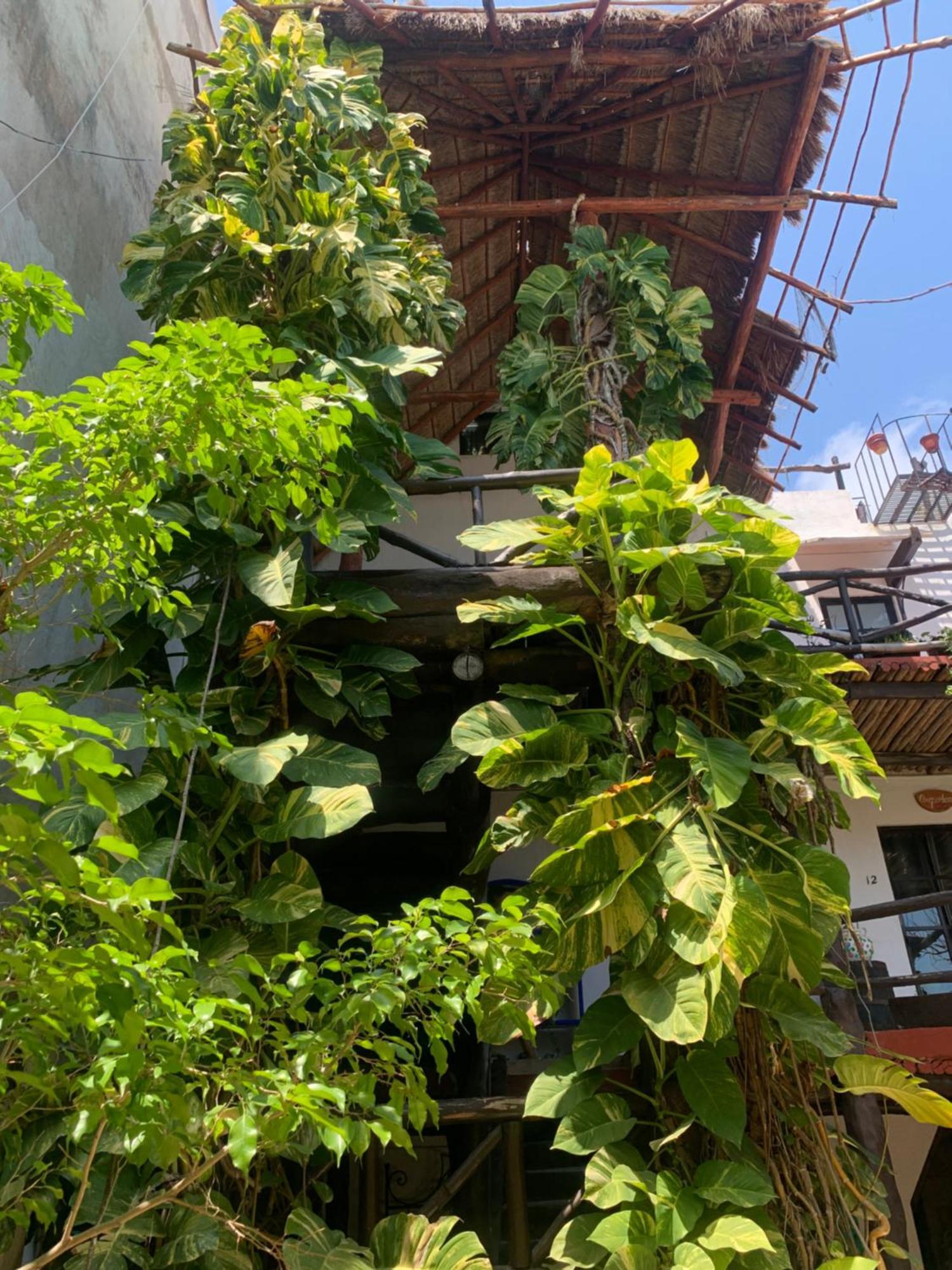 Casa Caribe Apartahotel Cancún