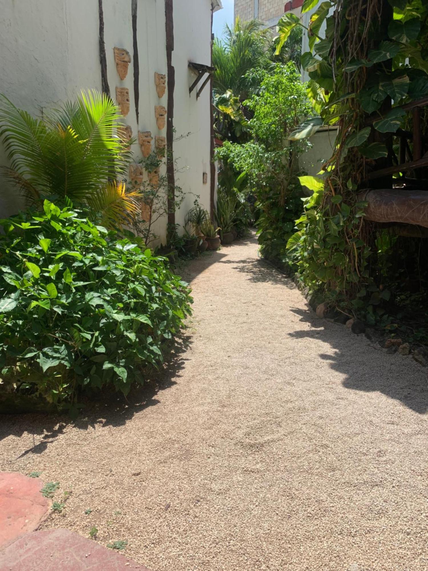 Casa Caribe 3* Cancún