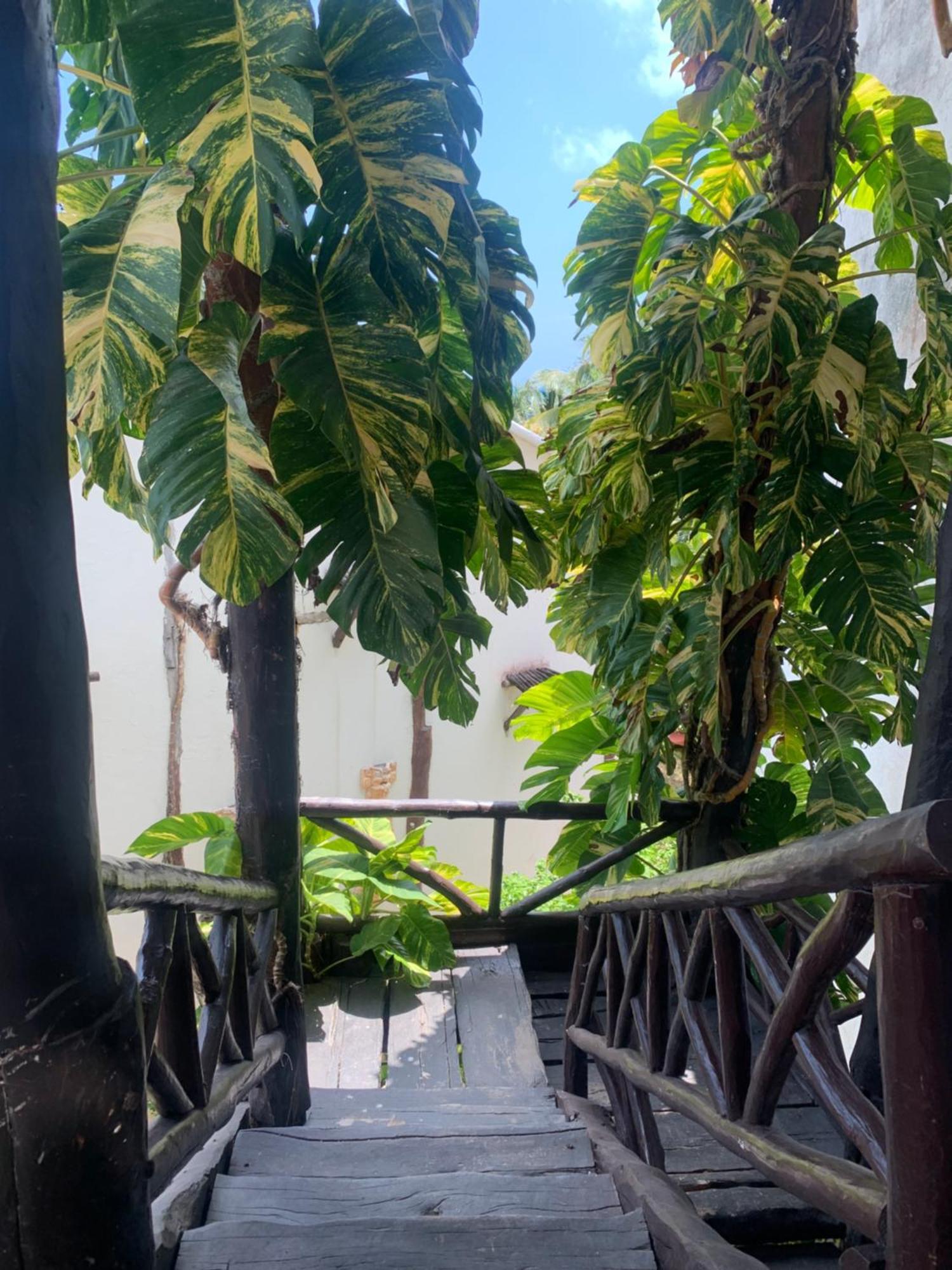 Casa Caribe 3* Cancún