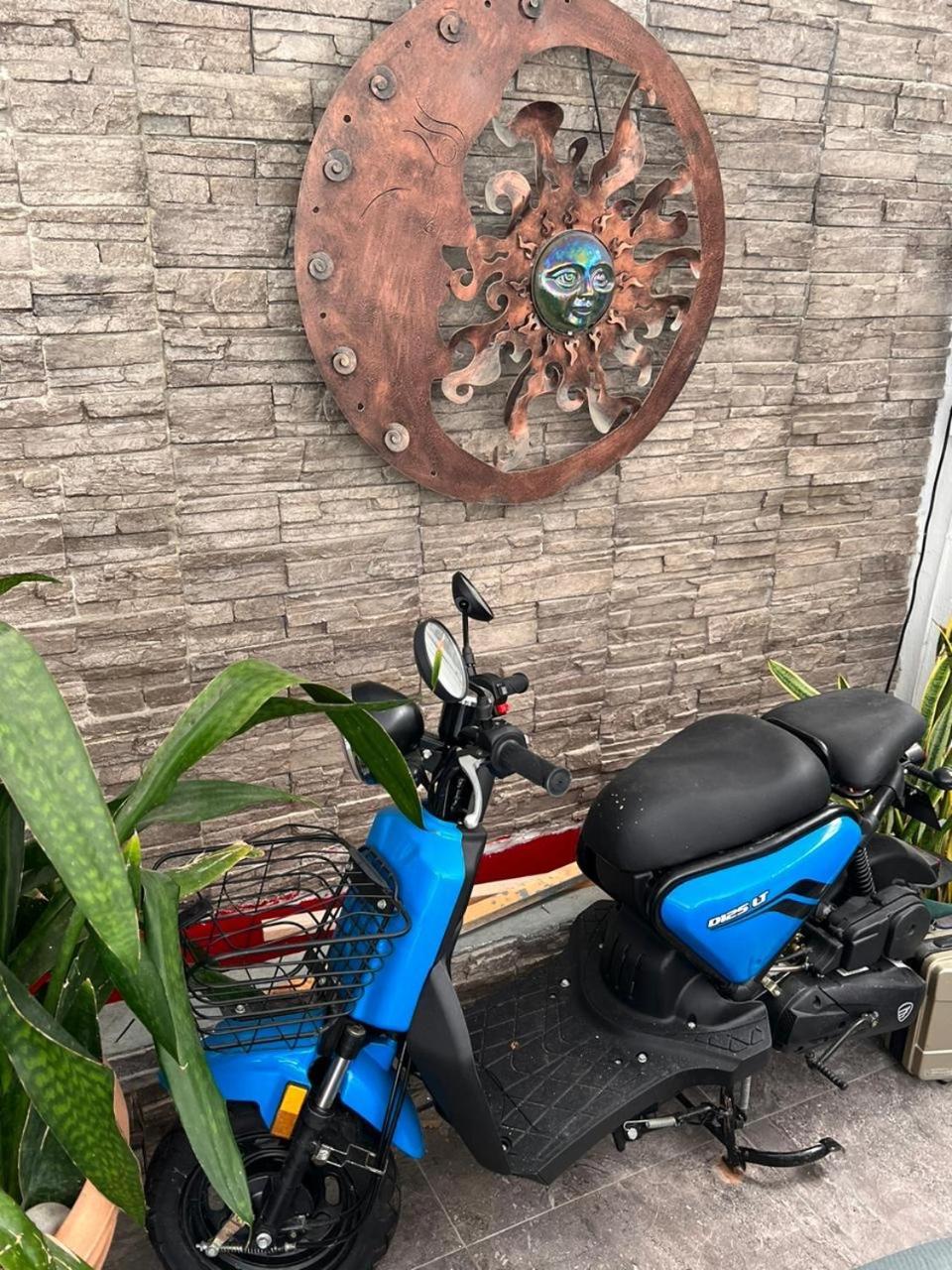 Bed and breakfast Ocean View Flamingo Cancún