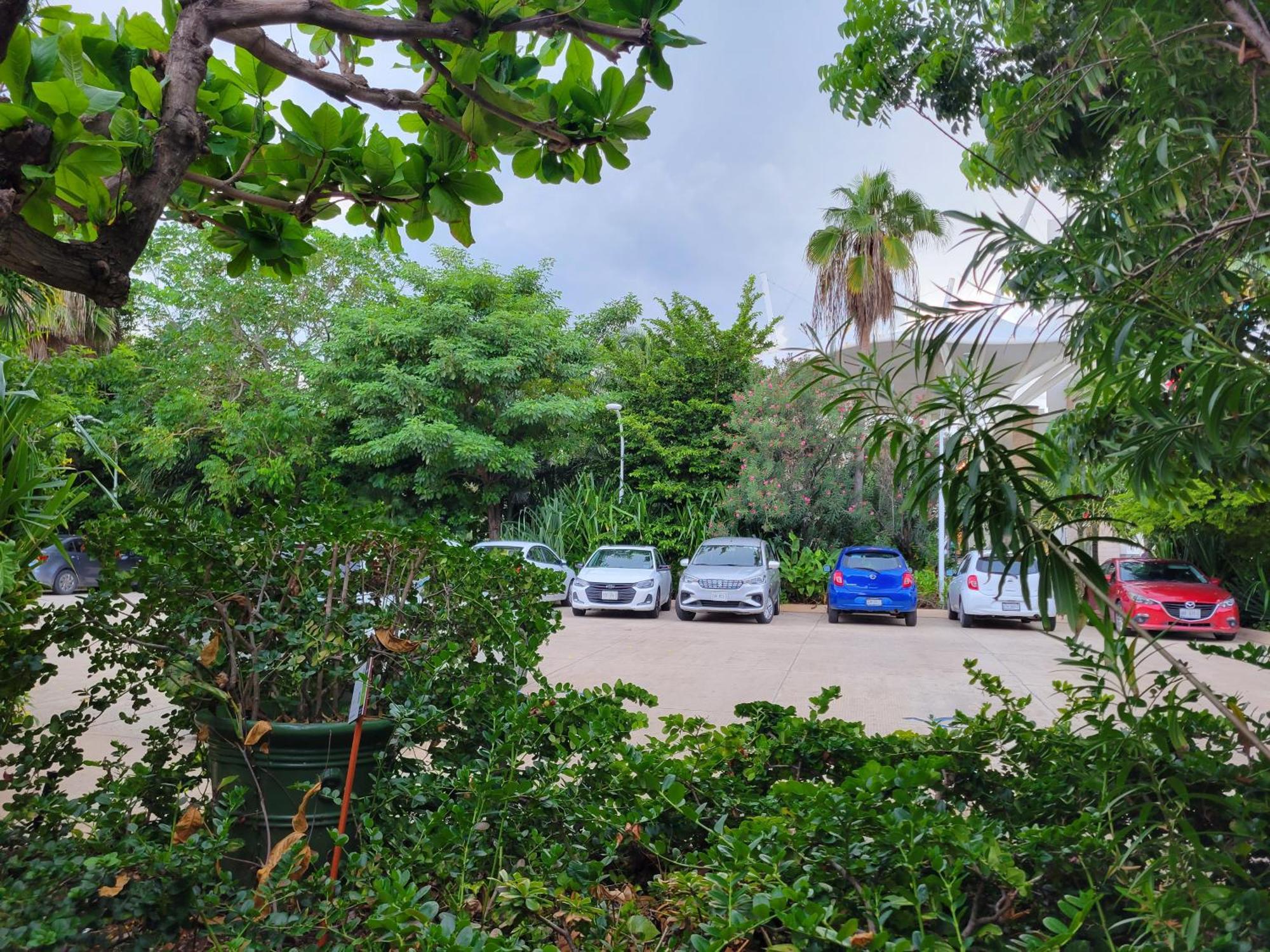 Apartahotel Amplio Frente Al Mar *