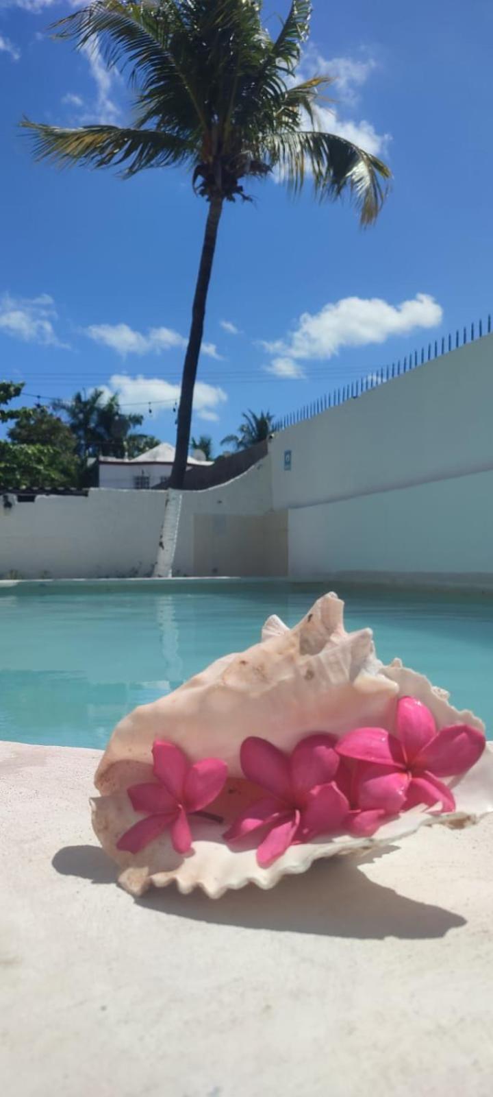Coral 2* Cancún