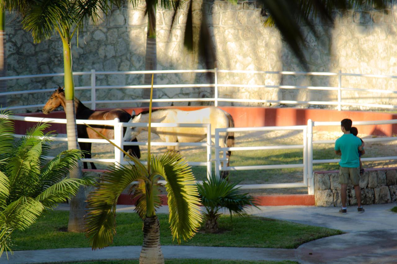 B&B Quinta Juventina Pensión