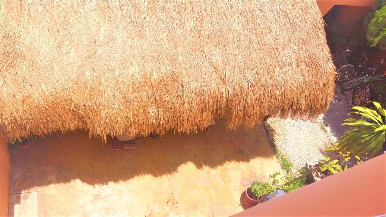 La Morena Cancún