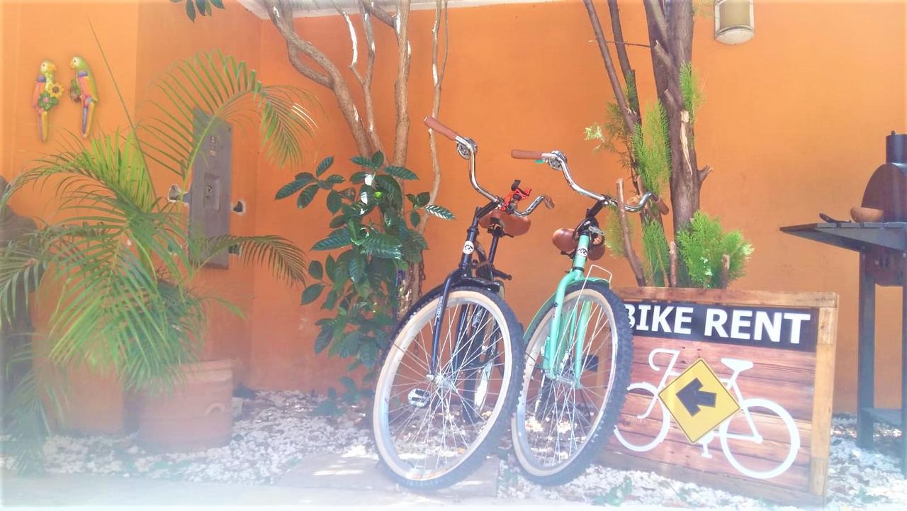 La Morena 2* Cancún