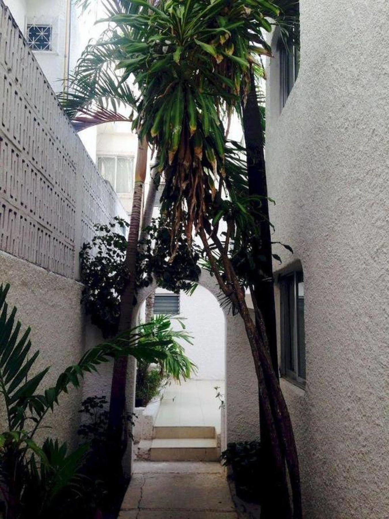 Hotel Plaza Carrillo's 3*