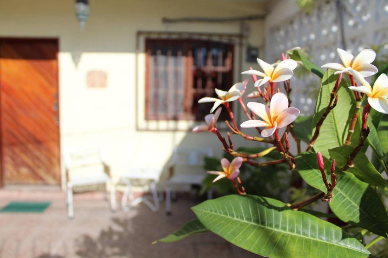 3 Near Ado Bus Terminal And 25 Min From/to Airport By Shuttle Cancún