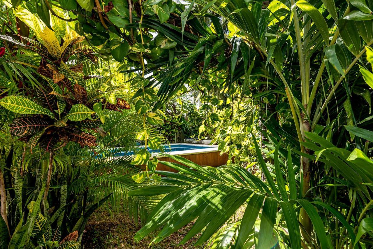Casa Nona Rosa * Cancun