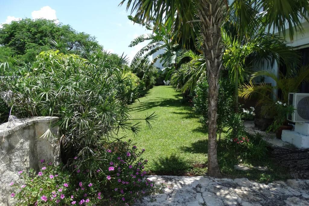 Apartamento Sole & Mare By Andiani Travel *