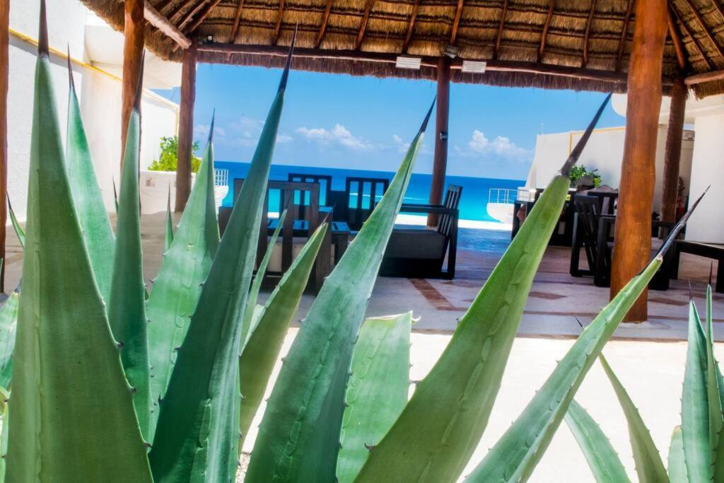 Marlin 32 Apartamento Cancún