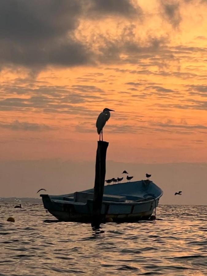 Tu Casa En El Caribe * Cancún