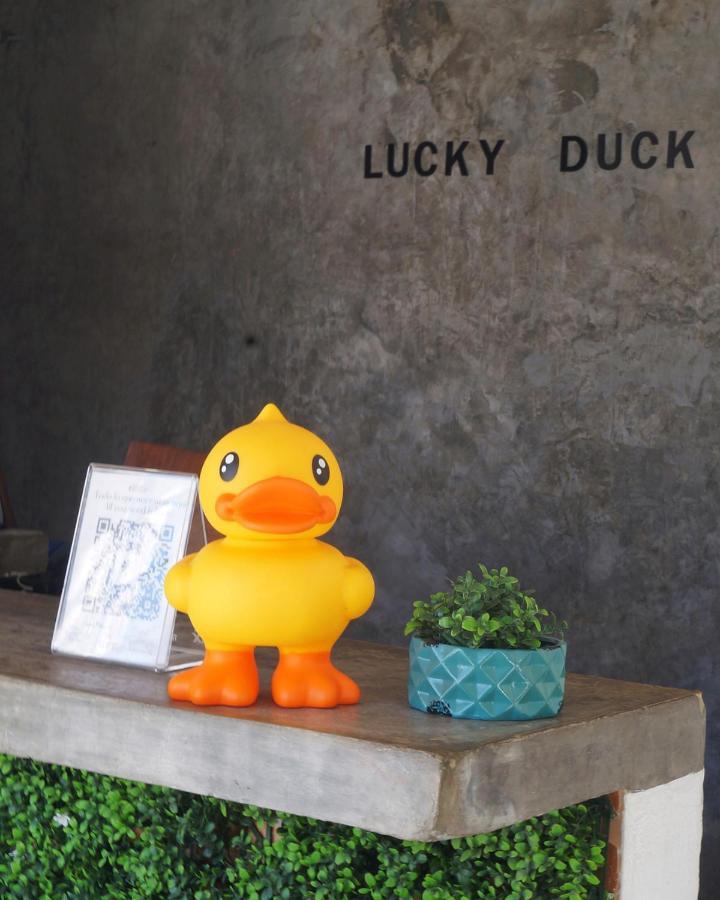 Lucky Duck Pj Hotel Cancún