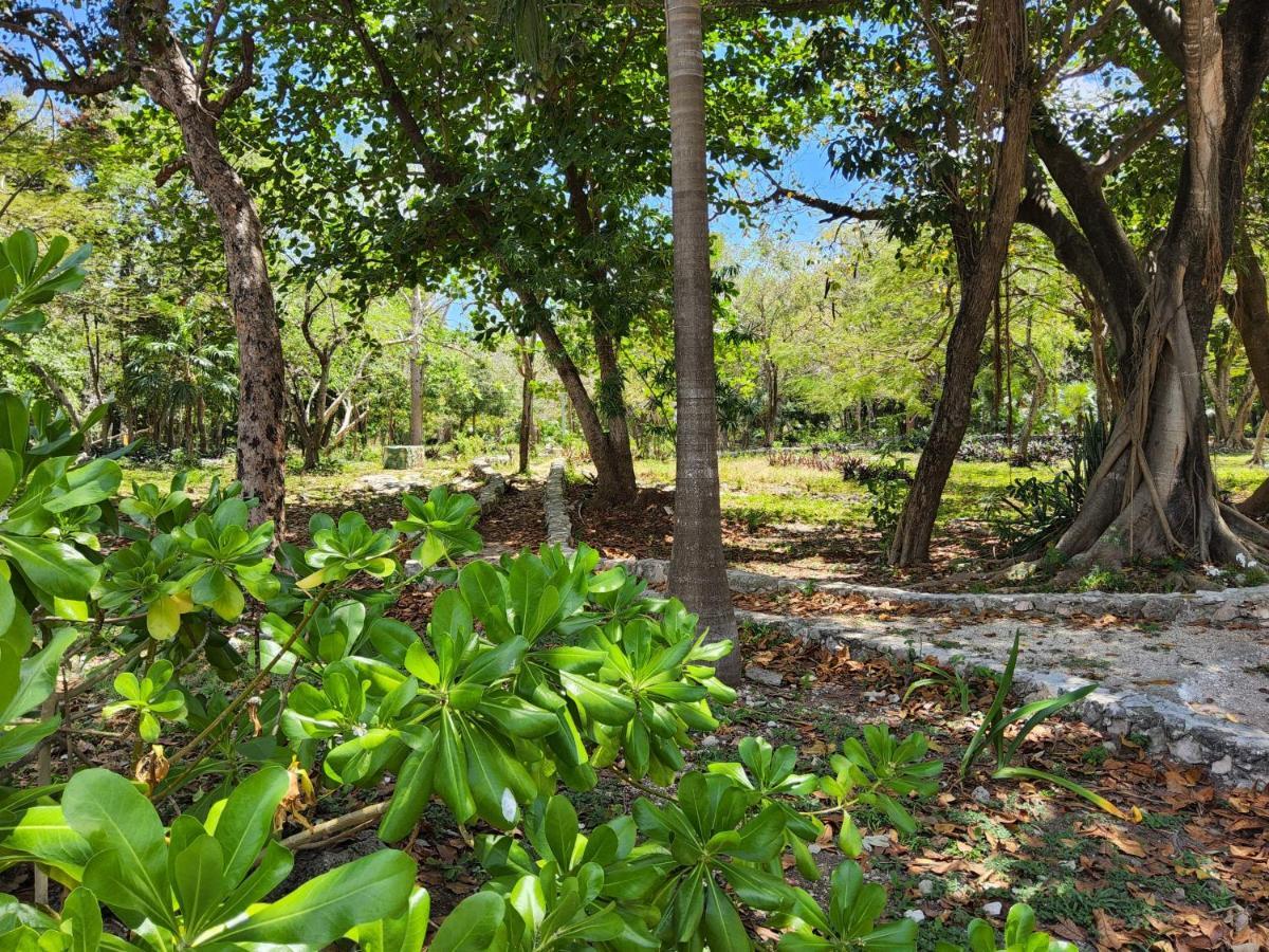 Cancunbnb Río Apartamento *