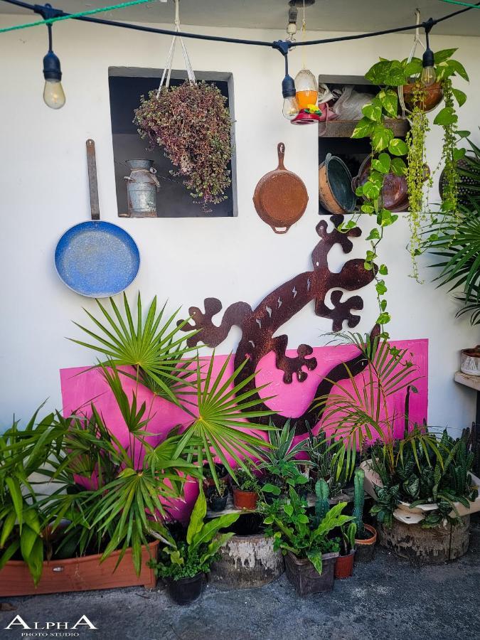 Tu Casa En El Caribe Cancún