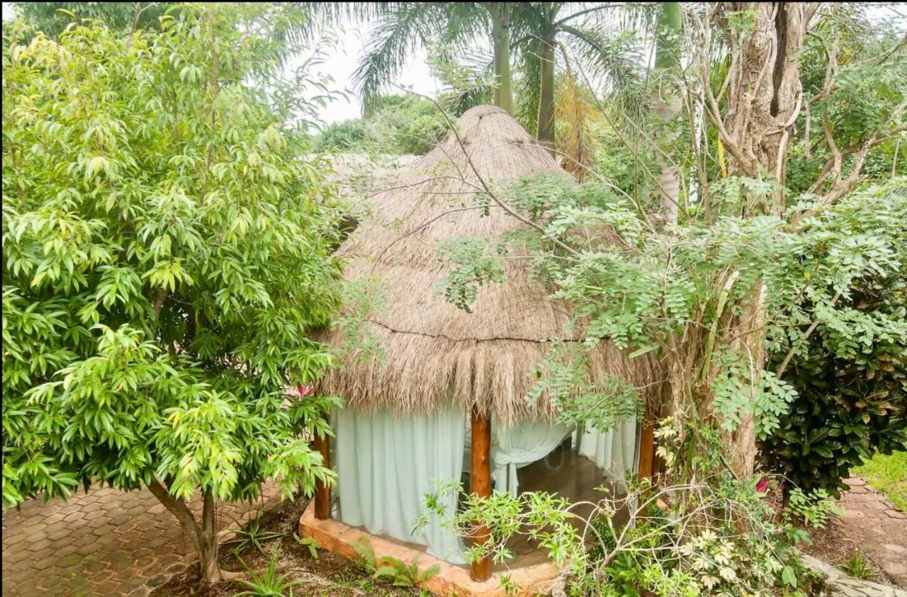 Casa Oma - *