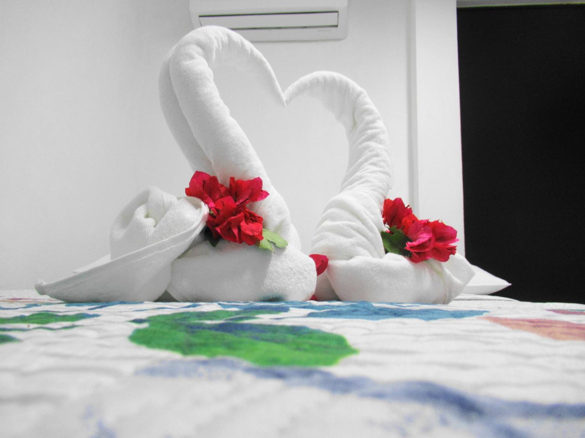 Cocos Cancún