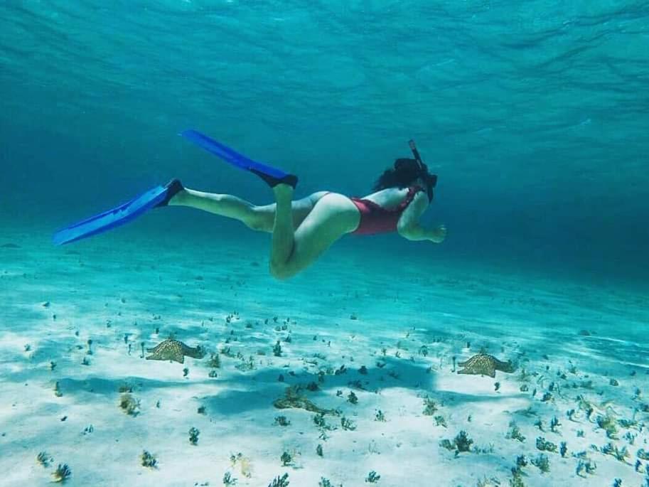 Viento * Cancun