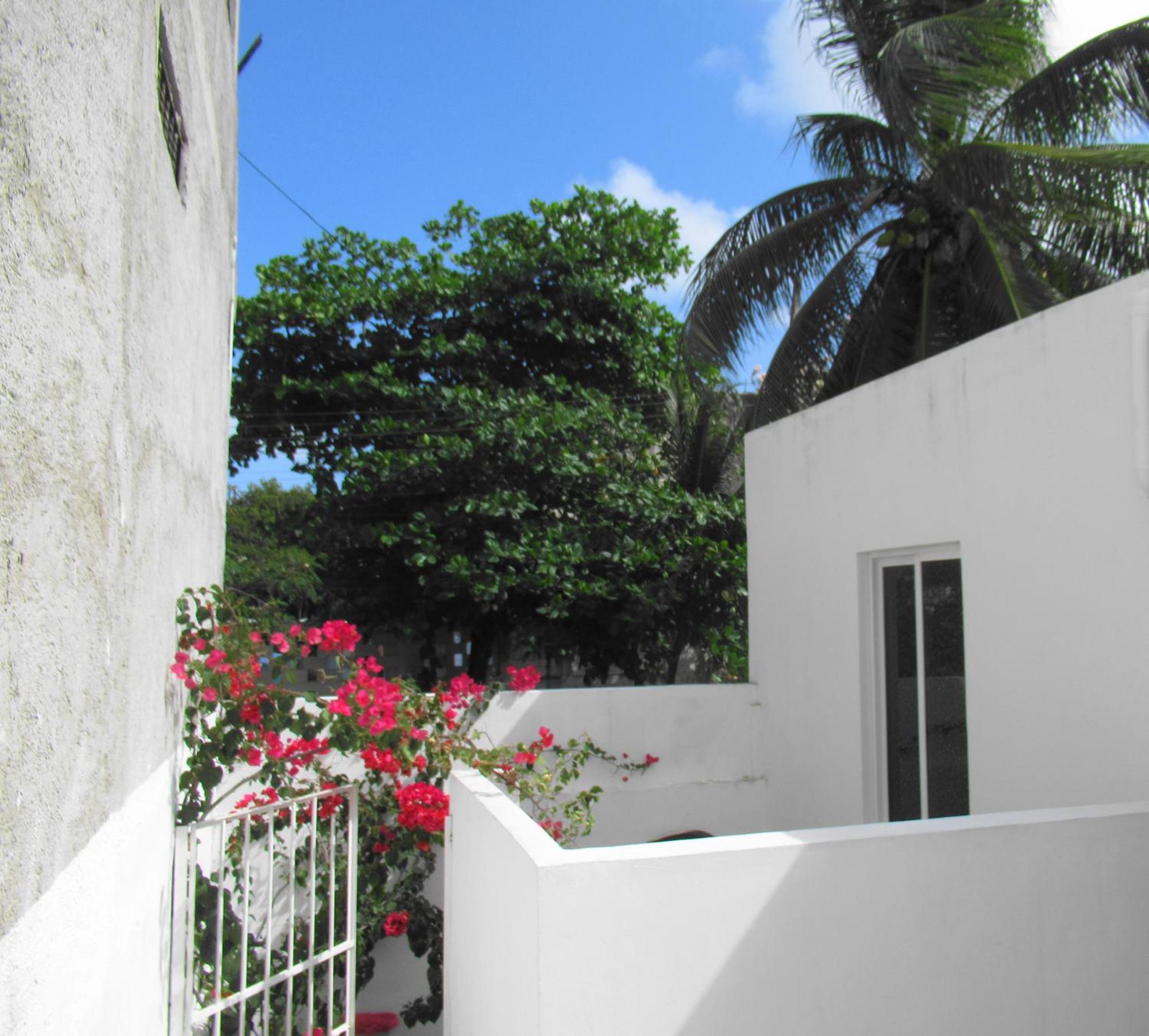 Cocos Cancún