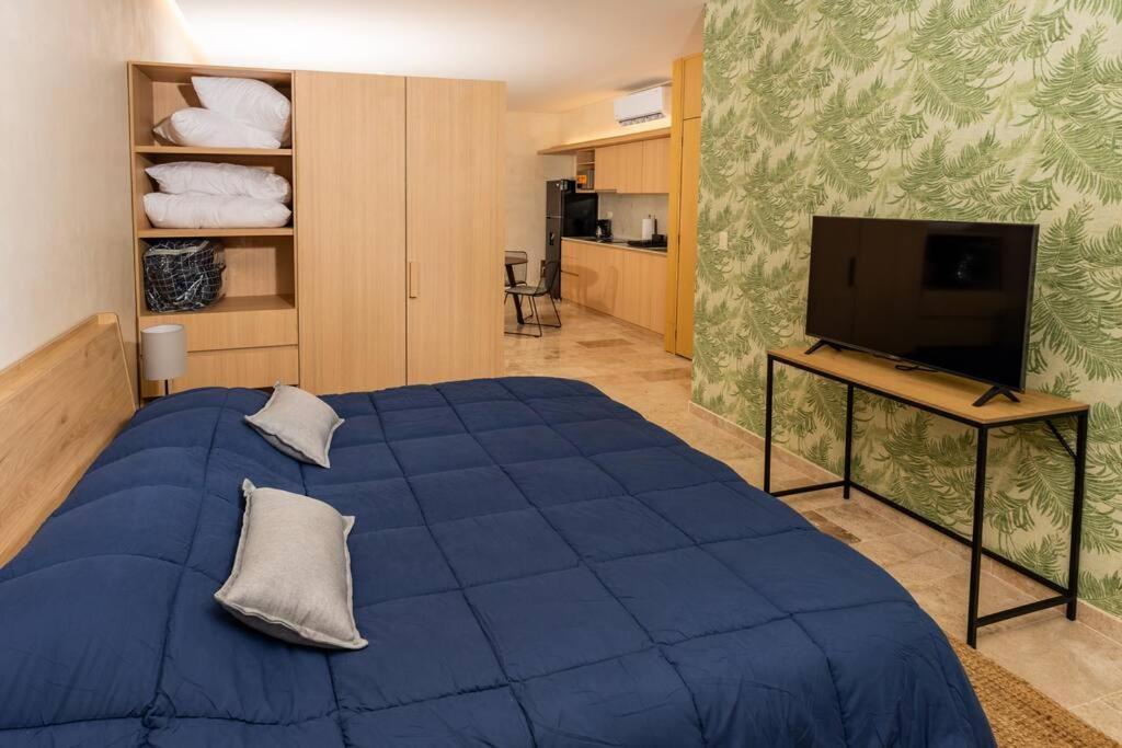 Estudio Moderno En La Av Nader Cancun