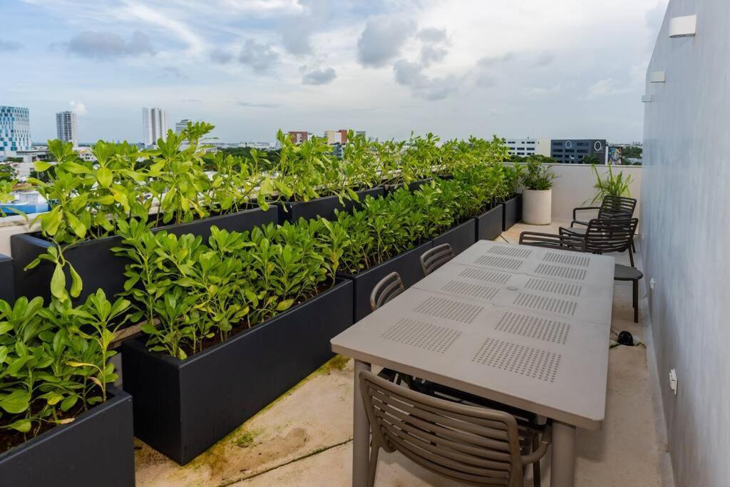 Estudio Moderno En La Av Nader Cancun