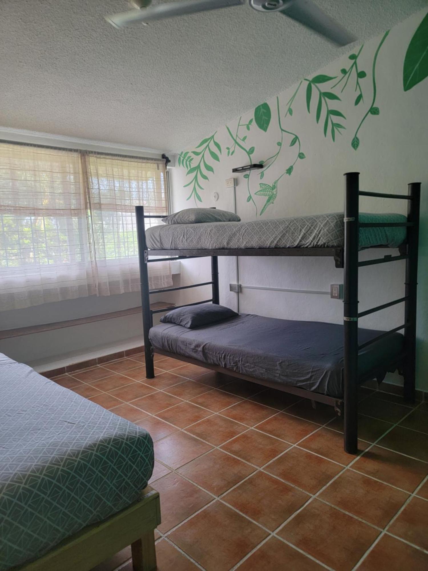 Venado-ocho Cancún