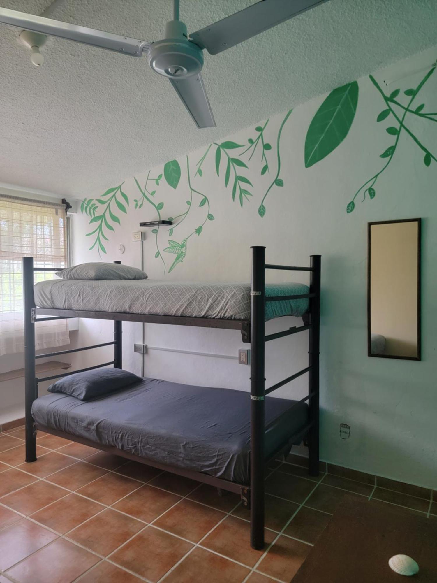 Venado-ocho * Cancún