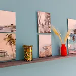 Bright & Relaxing Full Apartment