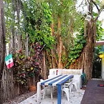 Room In Guest Room - Loft 9 In The Center Of Cancun