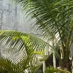 Bamboo Apartments Close To Ferry And The Beach