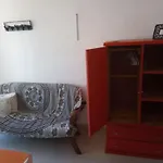 Estudio Quetzales Cancun