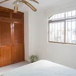 Casa Loritos