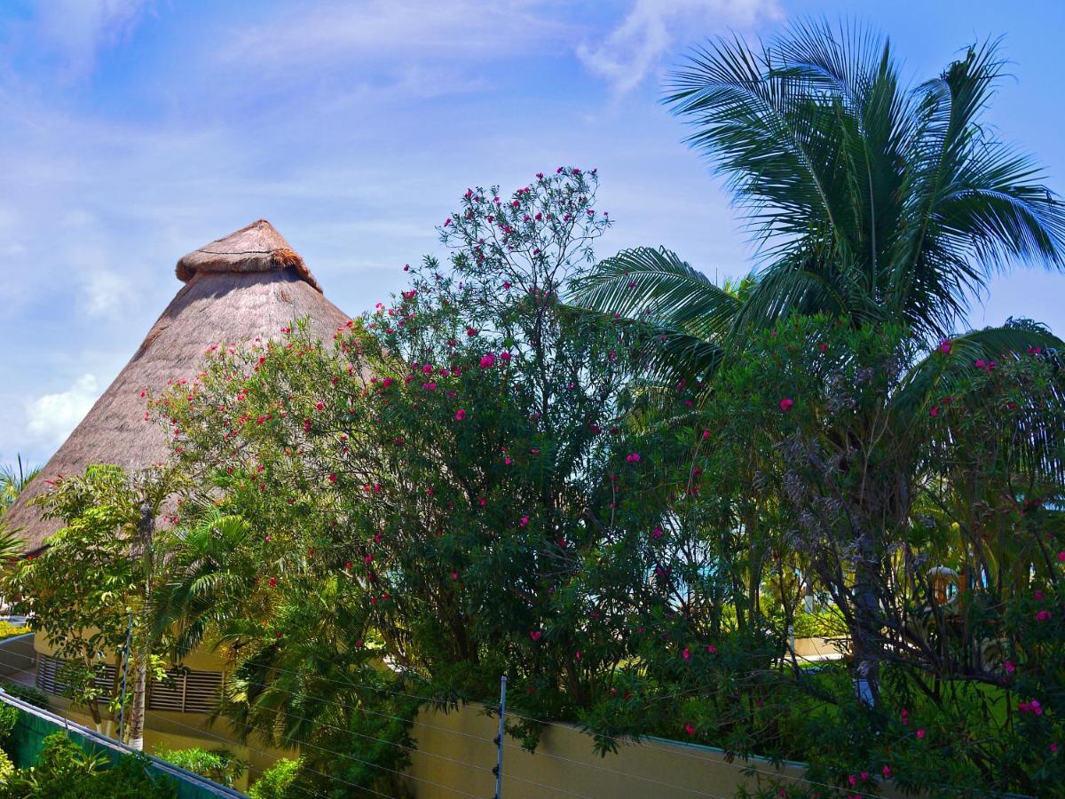 Beachfront *